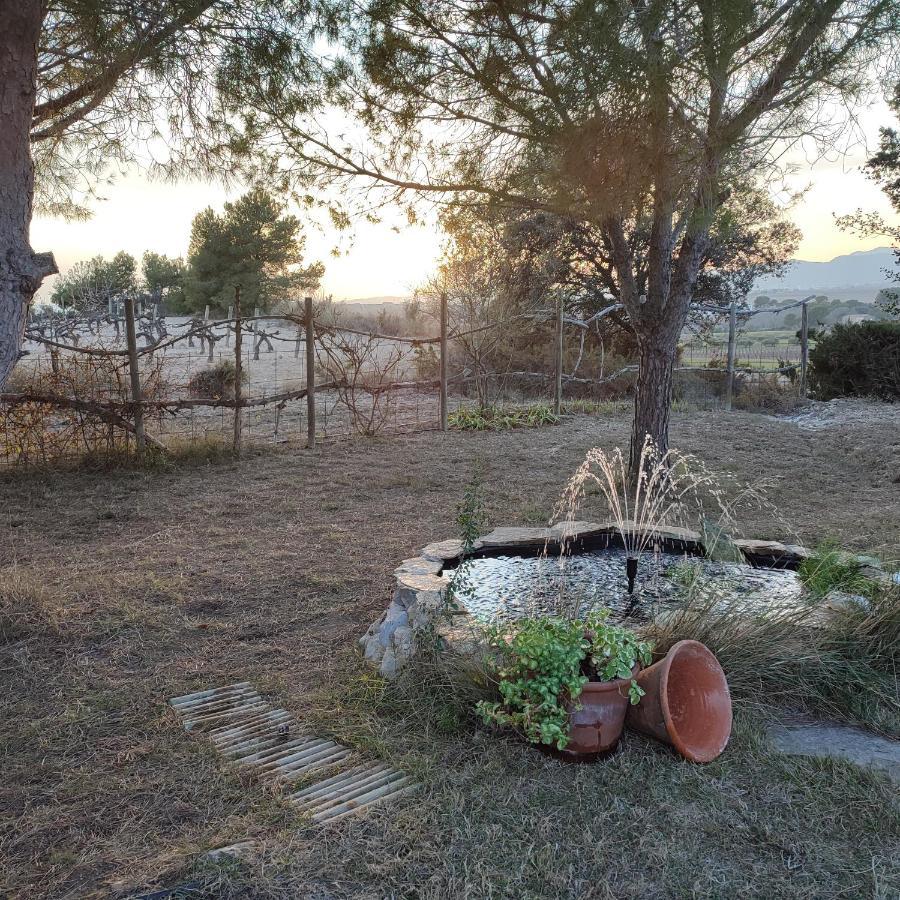 Villa Romegosa Benestar à Sant Marcal Extérieur photo